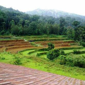 Valley Dew New, Coorg 5